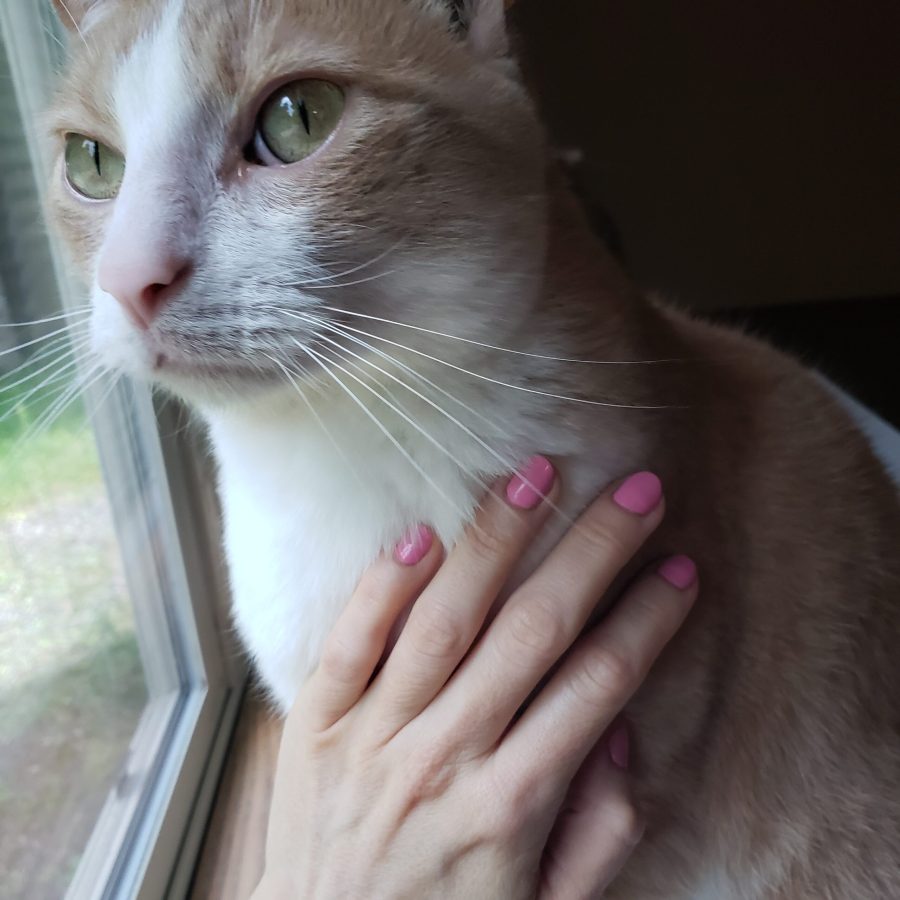 Essence Gel Polish