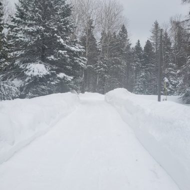 Starting Over at 43  – Why Staying Feels Harder than Leaving