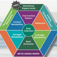 DUTCH Complete hormone test overview